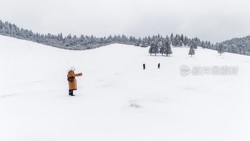 重庆酉阳：大雪纷飞赏雪忙