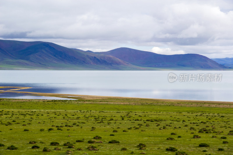 317国道阿里段湖泊湿地