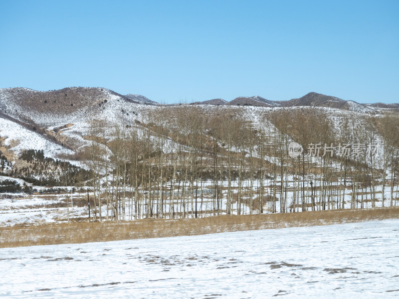 冬天雪后的山林