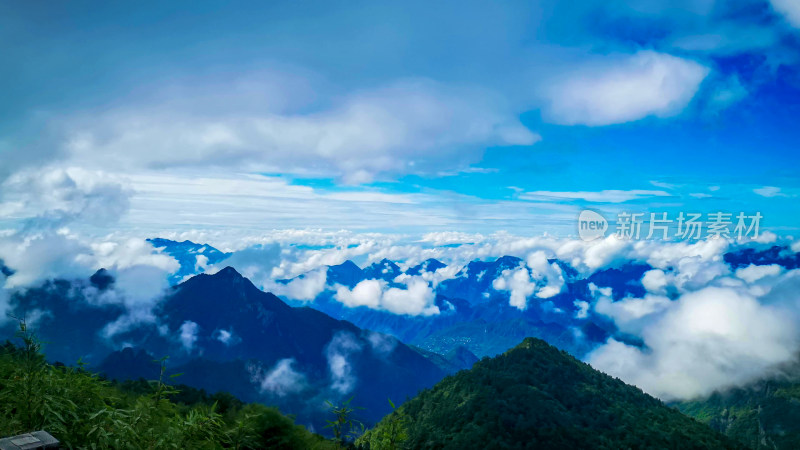 湖北神农顶5A景区