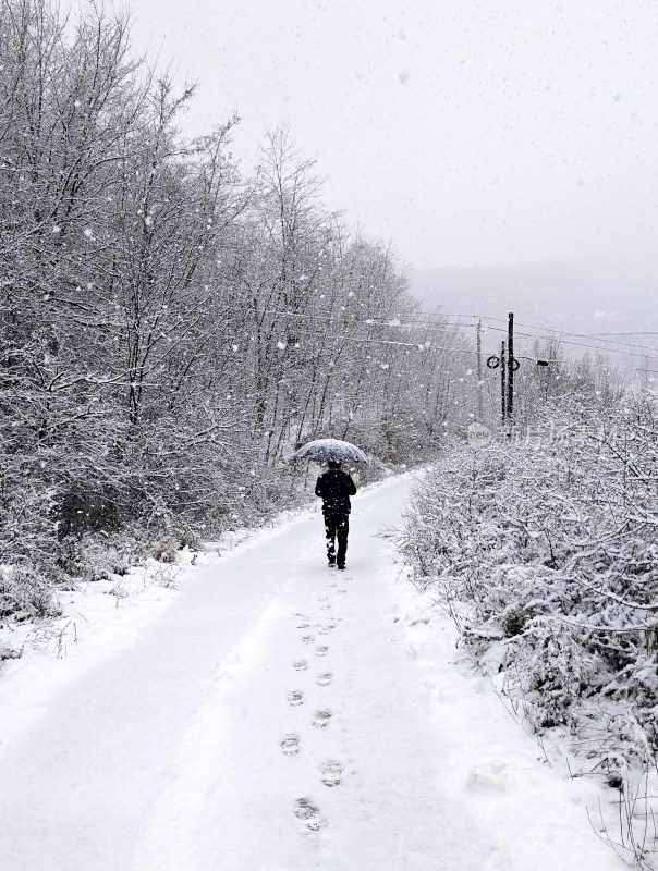 大雪纷飞