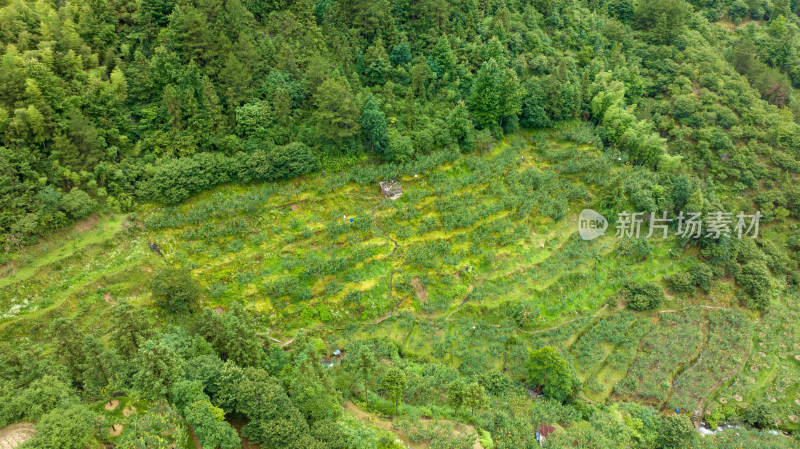 雨后的乡村景色