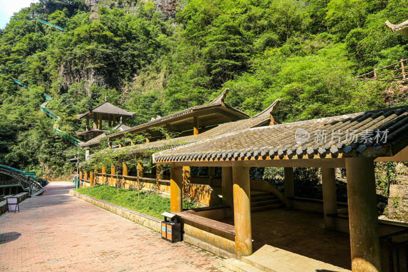 湖北宜昌三峡竹海风景区，自然风光，竹海