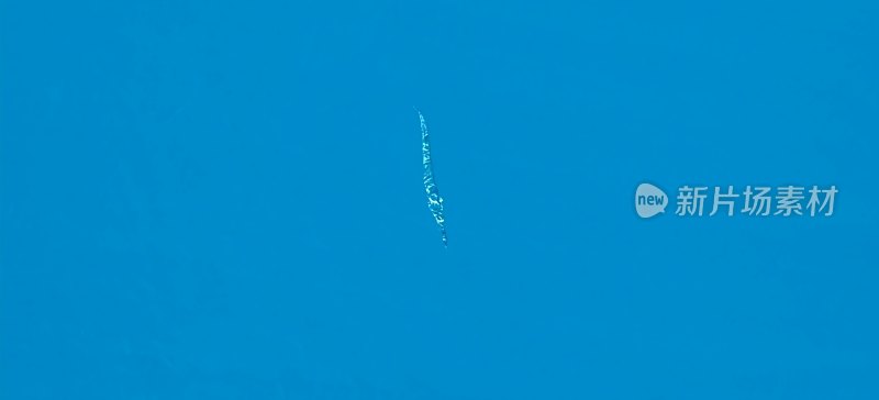 蓝天中飞翔的鸟群