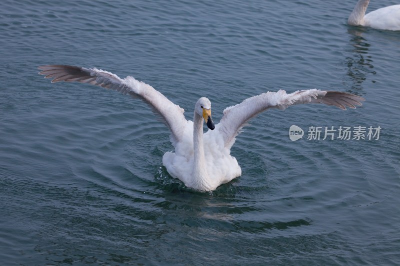 山东 烟台 烟墩角