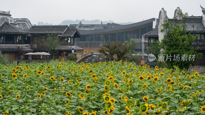 四川省宜宾市旅游度假区李庄古镇的小雨天