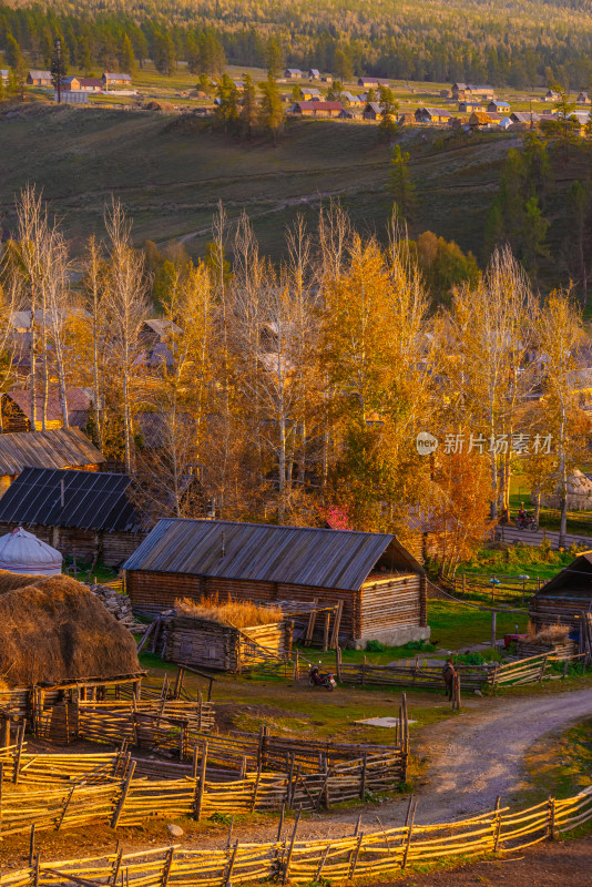 新疆北疆白哈巴秋季风光