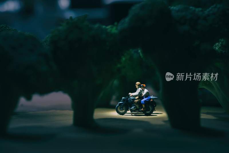 西兰花微缩景观-情侣夜晚在树林间骑摩托