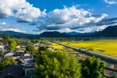 秋天阳光打在金黄的稻田上