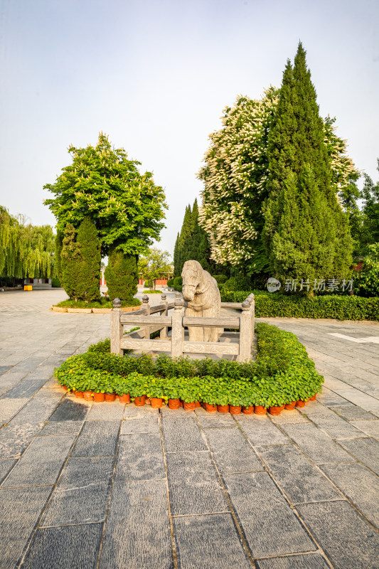 河南洛阳白马寺白马景点景观