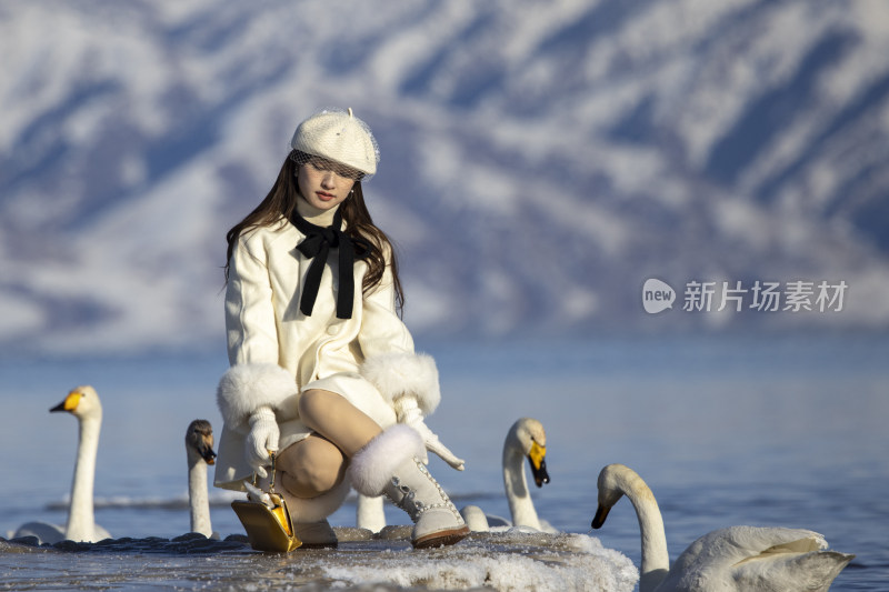 赛里木湖湖畔女子与天鹅的冬日场景