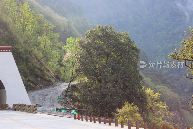 西藏林芝地区G318川藏公路沿途高原风光