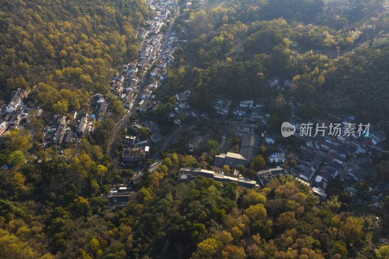 杭州西湖龙井产地翁家山茶园