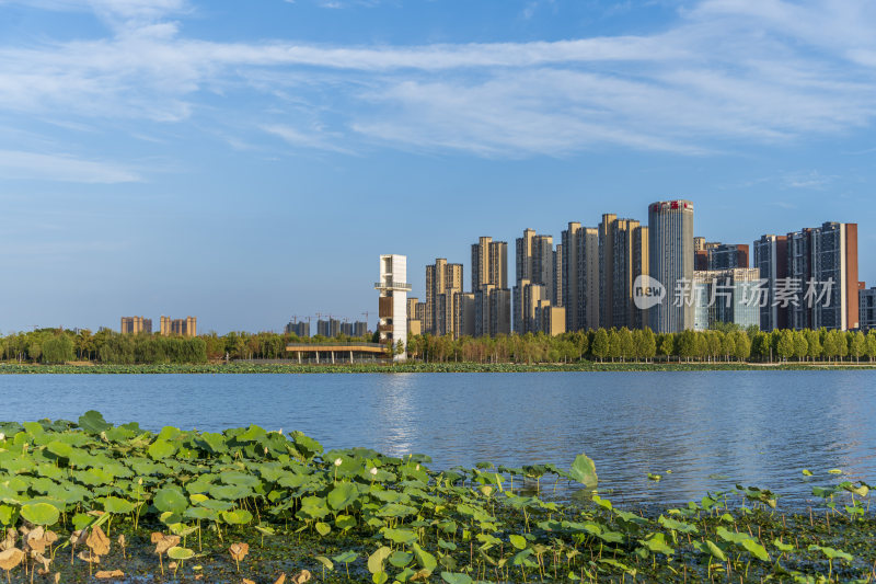 武汉江夏中央大公园风景