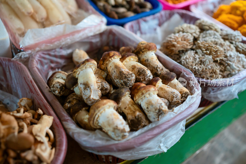 云南农贸市场的菌菇松茸