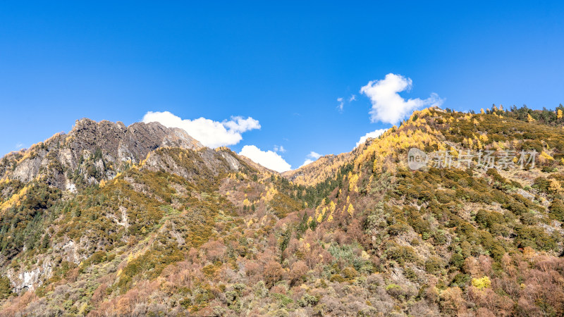 四川四姑娘山景区双桥沟的秋天秋色