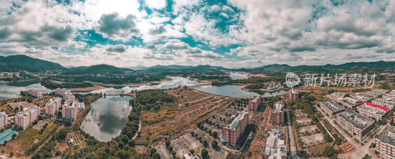 仰恩大学