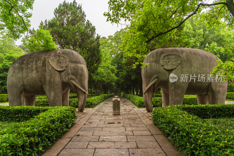 南京明孝陵神道石像路石雕大象