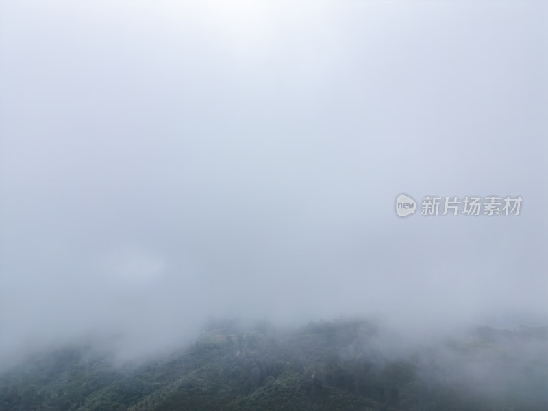 云雾笼罩下的葱郁山林鸟瞰全景