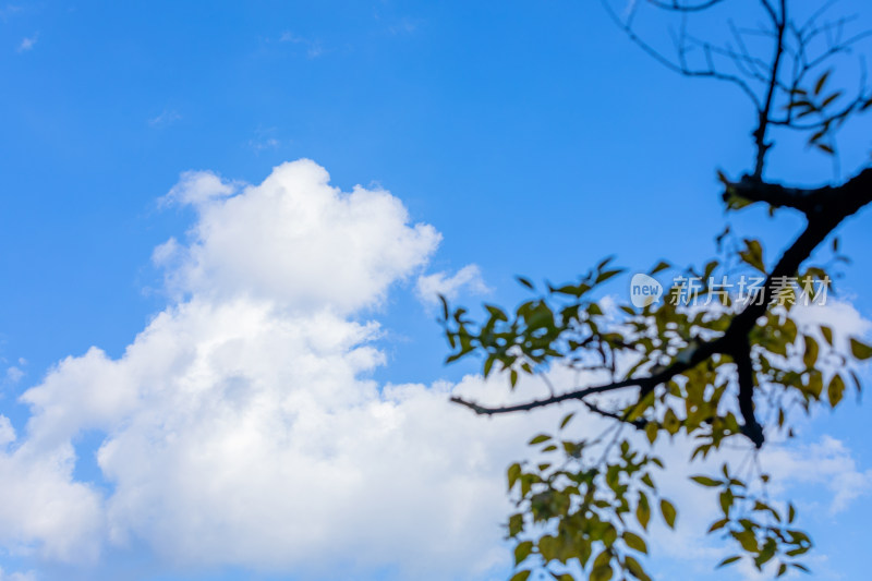 蓝天白云 天空