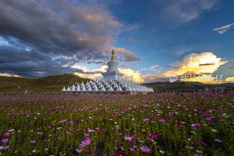 花丛中白塔建筑的美丽景象