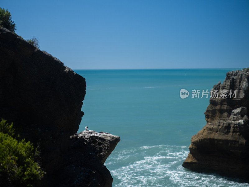 新西兰南岛煎饼岩Punakaki帕帕罗阿国家公园