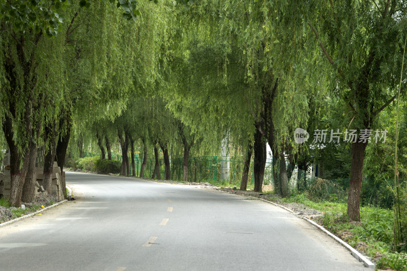 绿化好的乡村公路