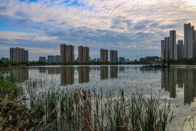 武汉汤逊湖壹号湿地公园