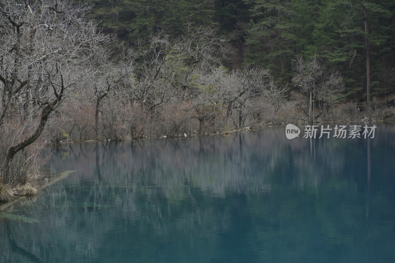 九寨沟绚烂多彩的湖泊河流高山航拍特写