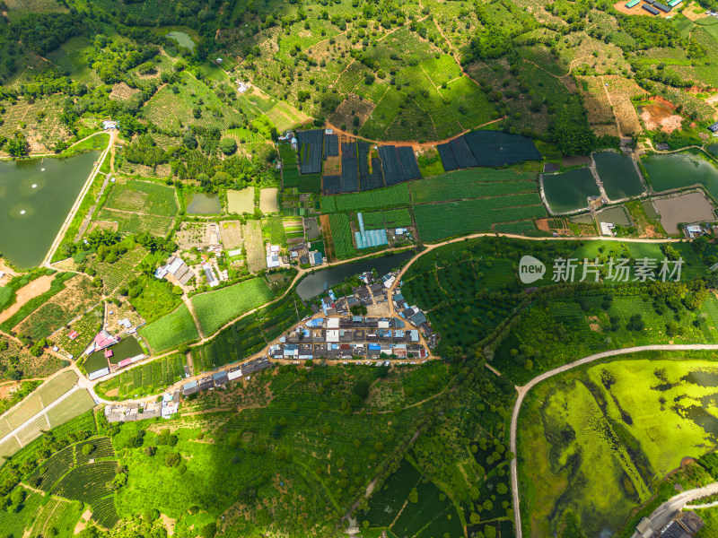 航拍云南乡村田园风光