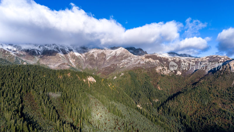 阿坝州若巴藏拉克山