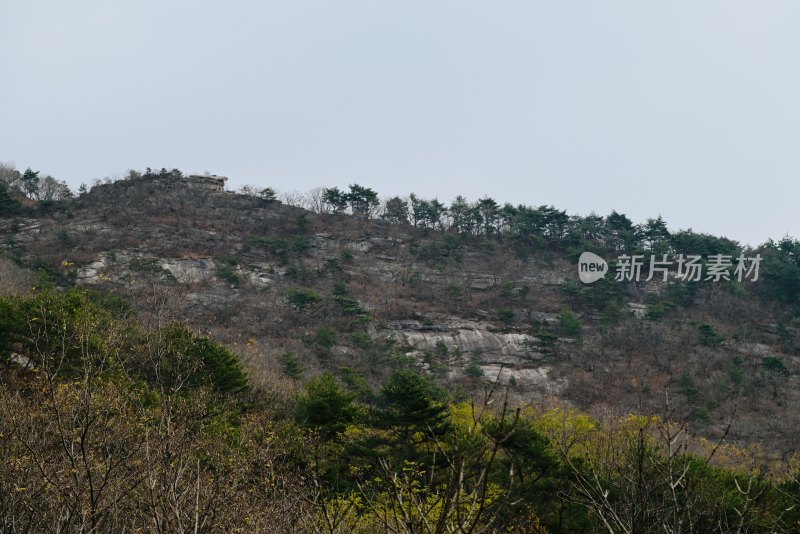 山石景观