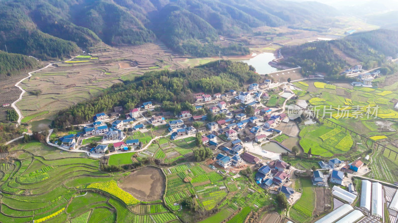 南方美丽乡村田园油菜花种植航拍