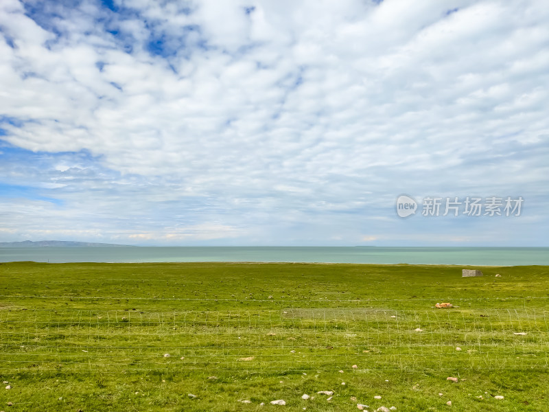 六月的青海湖风景