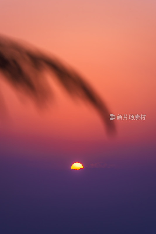 日落 天空 太阳