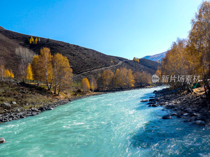 喀纳斯河风景