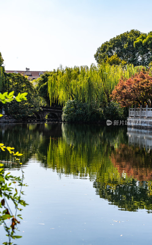 上海古华园秋天自然建筑景观