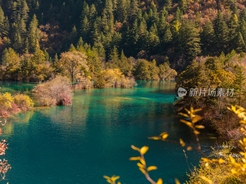 九寨沟秋景