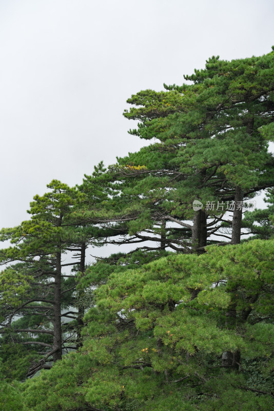 安徽黄山风光