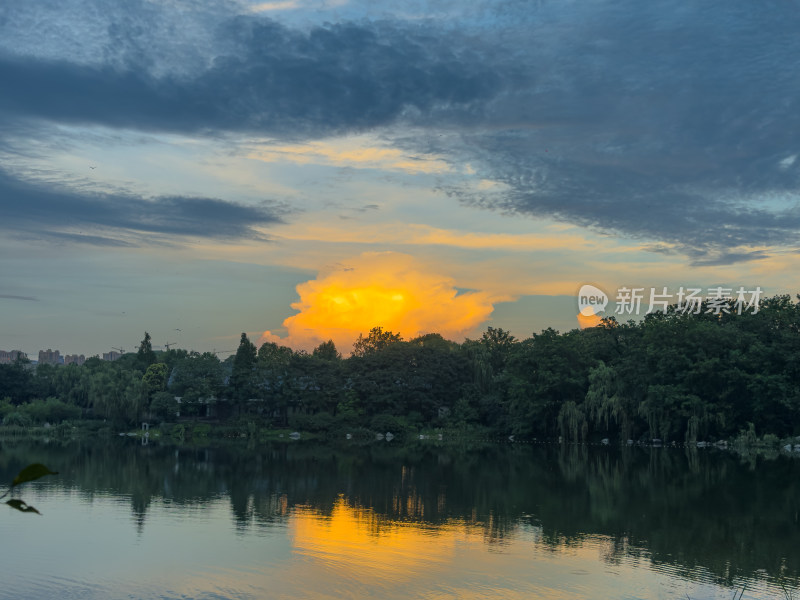 夕阳西下的天空衬托下树木的轮廓