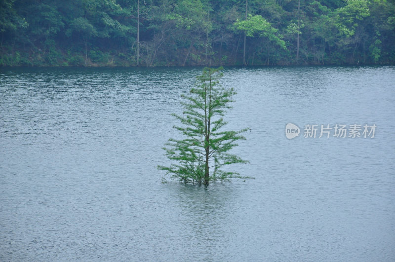 长沙风景，自然风光，长沙城景