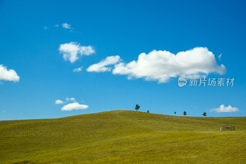 呼伦贝尔大草原