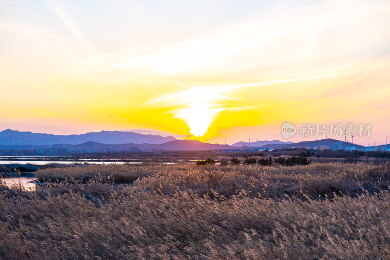 夕阳下的芦苇荡与远山景观