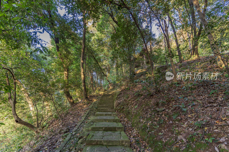 杭州栖霞岭黄龙洞景点风景