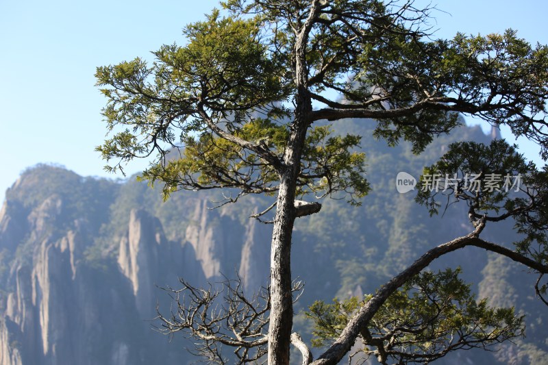 绝景在三清