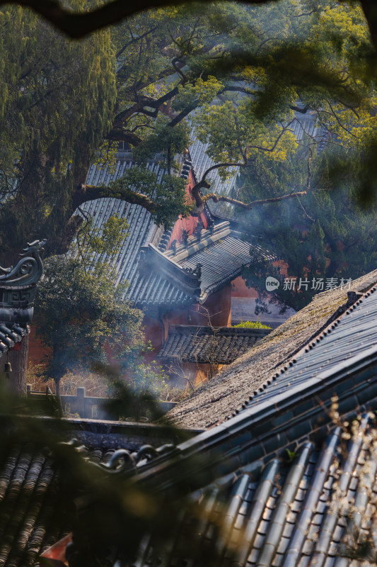 天台国清寺中式古建筑群与树林景观