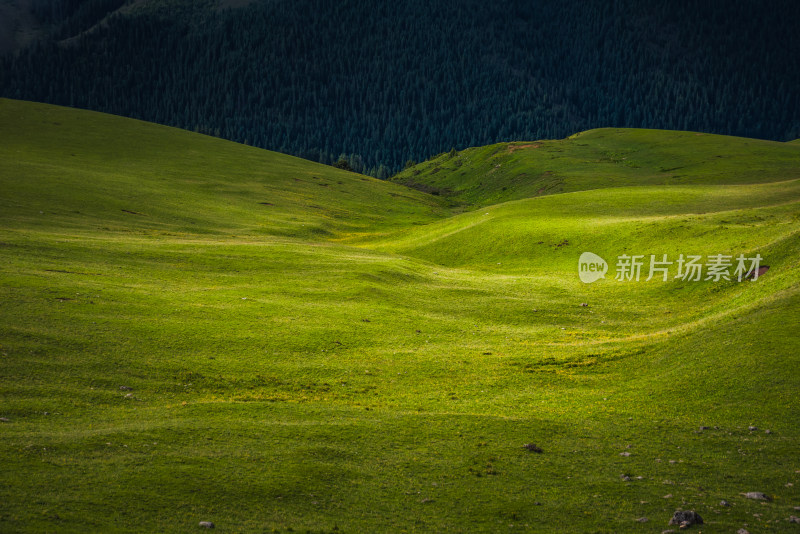 阳光下山谷草原连绵起伏的绿色山川