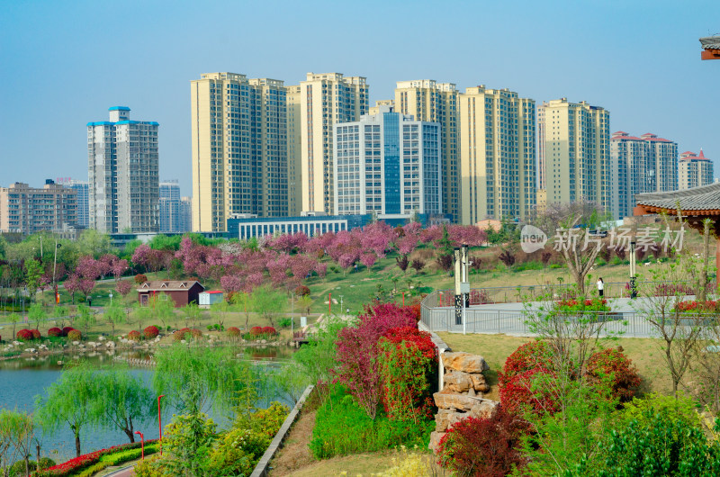 春天的渭南南湖公园湖上风景