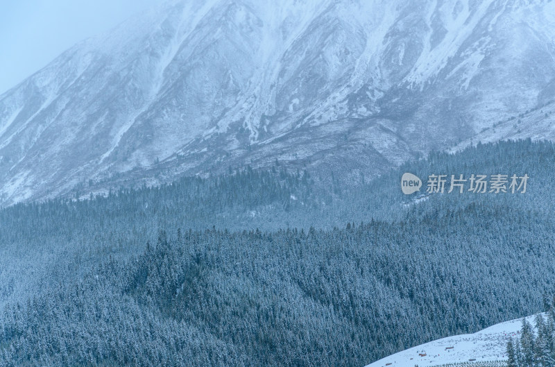 青海祁连卓尔山树林自然唯美雪景风光