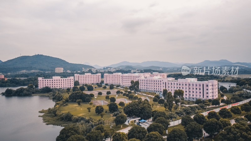 仰恩大学